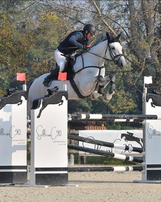 Cavallo