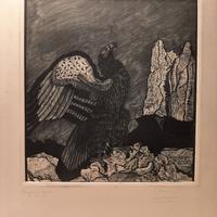 Bruno da Osimo (1931-1932), L'aquila