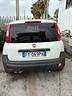 fiat-panda-1-2-pop-van-2-posti