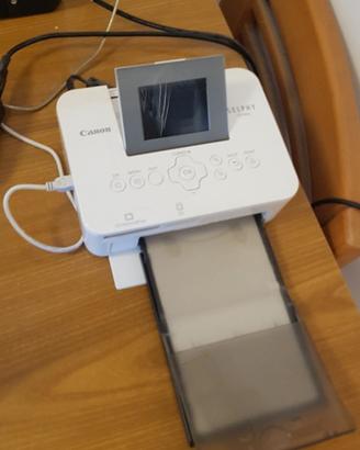 stampante canon selphy cp 1000