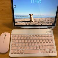 iPad Pro 11 2º generazione