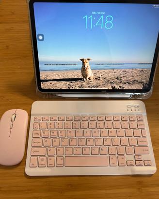 iPad Pro 11 2º generazione