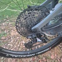 Cannondale scalpel