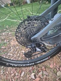 Cannondale Scalpel XT taglia M