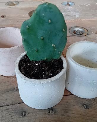 Vasetti in cemento per le tue piante grasse