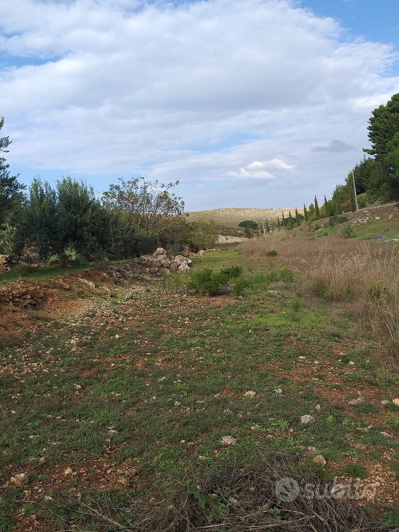 Terreno agricolo/pascolo - Vista 4
