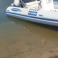 gommone 530 motore yamaha 80cv 