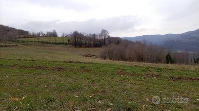 Immobile in asta di 22859 m² a Chiampo