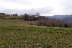 Immobile in asta di 22859 m² a Chiampo