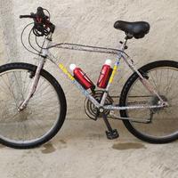 Bici MTB Polar 21 rapporti Shimano 