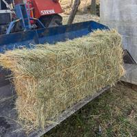 Ballette piccole fieno