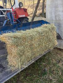 Ballette piccole fieno