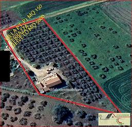 Villa mq 150 con terrazza mq 100 e uliveto mq 5000