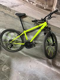Bici mountain bike