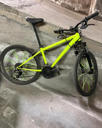 Bici mountain bike