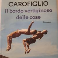 il bordo vertiginoso delle cose 