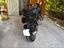 Immagine 4