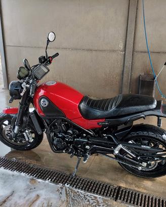 Benelli Leoncino 500 2020