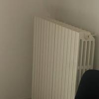 Elementi ternosifoni ghisa