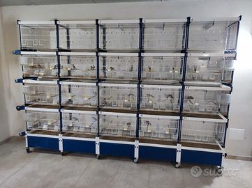 batteria italgabbia 20 gabbie da 60 nuova 