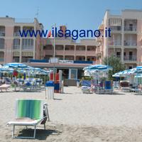 Monolocale VISTA MARE a Lido Scacchi -146-