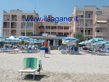 Monolocale VISTA MARE a Lido Scacchi -146-