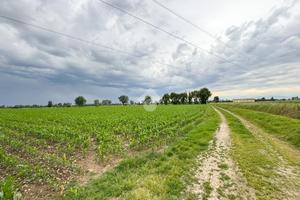 TERRENO A TRUCCAZZANO