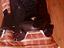 Immagine 3