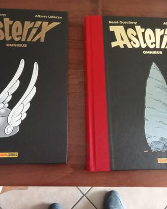 2 LIBRI ASTERIX COLLECTION LIMITED EDITION