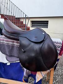 Sella da salto ostacoli