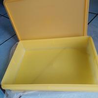 rettangolare grande tupperware 5 litri 