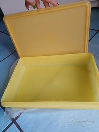 rettangolare grande tupperware 5 litri 