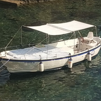 Barca a motore