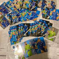 Carte figurine calciatori panini