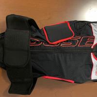 Paraschiena - paracostole