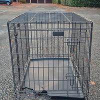 Kennel per cani