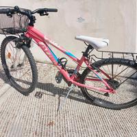 bicicletta montainbike 