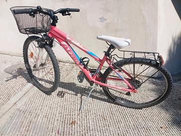 bicicletta montainbike 