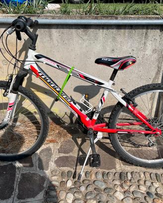 Mountain Bike Ragazzo 24" - Montana Escape