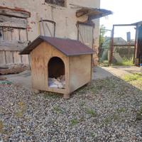 Casetta per cane