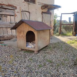 Casetta per cane