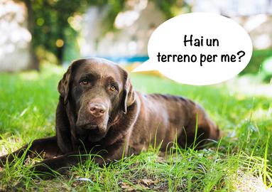 Centro Cinofilo terreno a Padova