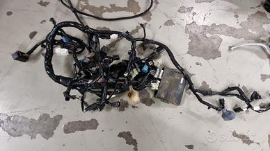 Impianto elettrico kawasaki z900rs 2018