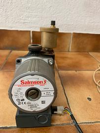 Circolatore Pompa Salmson