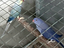 Immagine 6