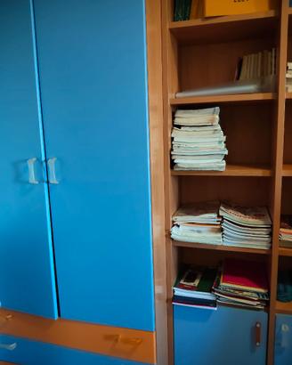 Libreria ed armadio