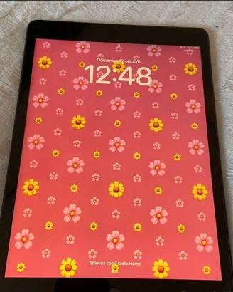 ipad  9 th generazione colore silver