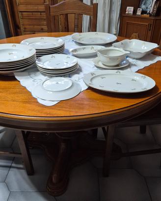 setvizio piatti thiun