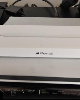 pennino originale per iPad  Apple Pencil di 2 gen