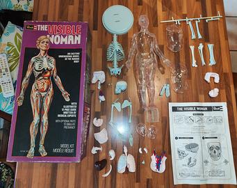 Revell The Visible Woman Kit Modello Anatomico